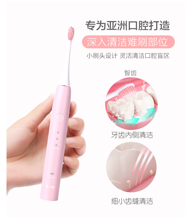2019 Oral Care Electric Sonic Adult Tooth Brush 2019 Oral Care Electric Sonic Adult Tooth Brush